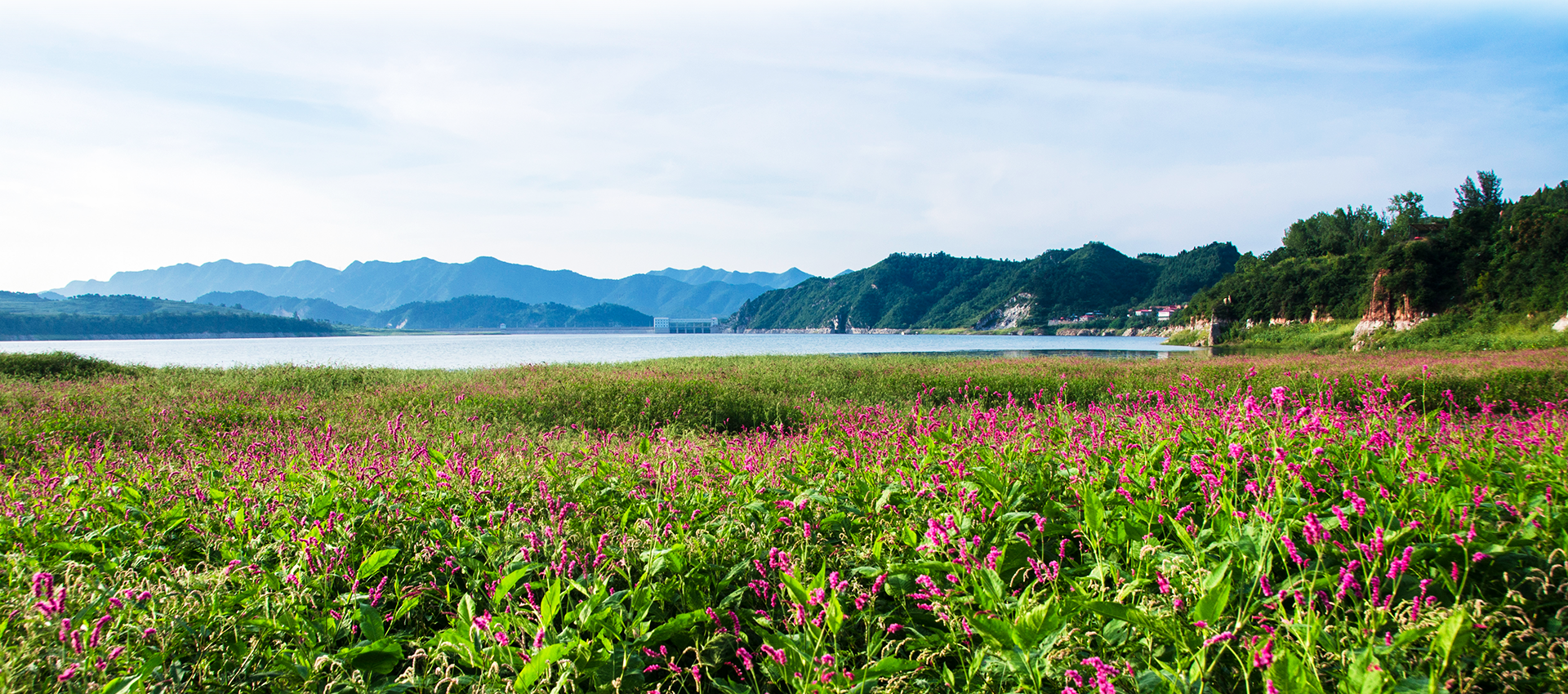环秀湖公园内的景色